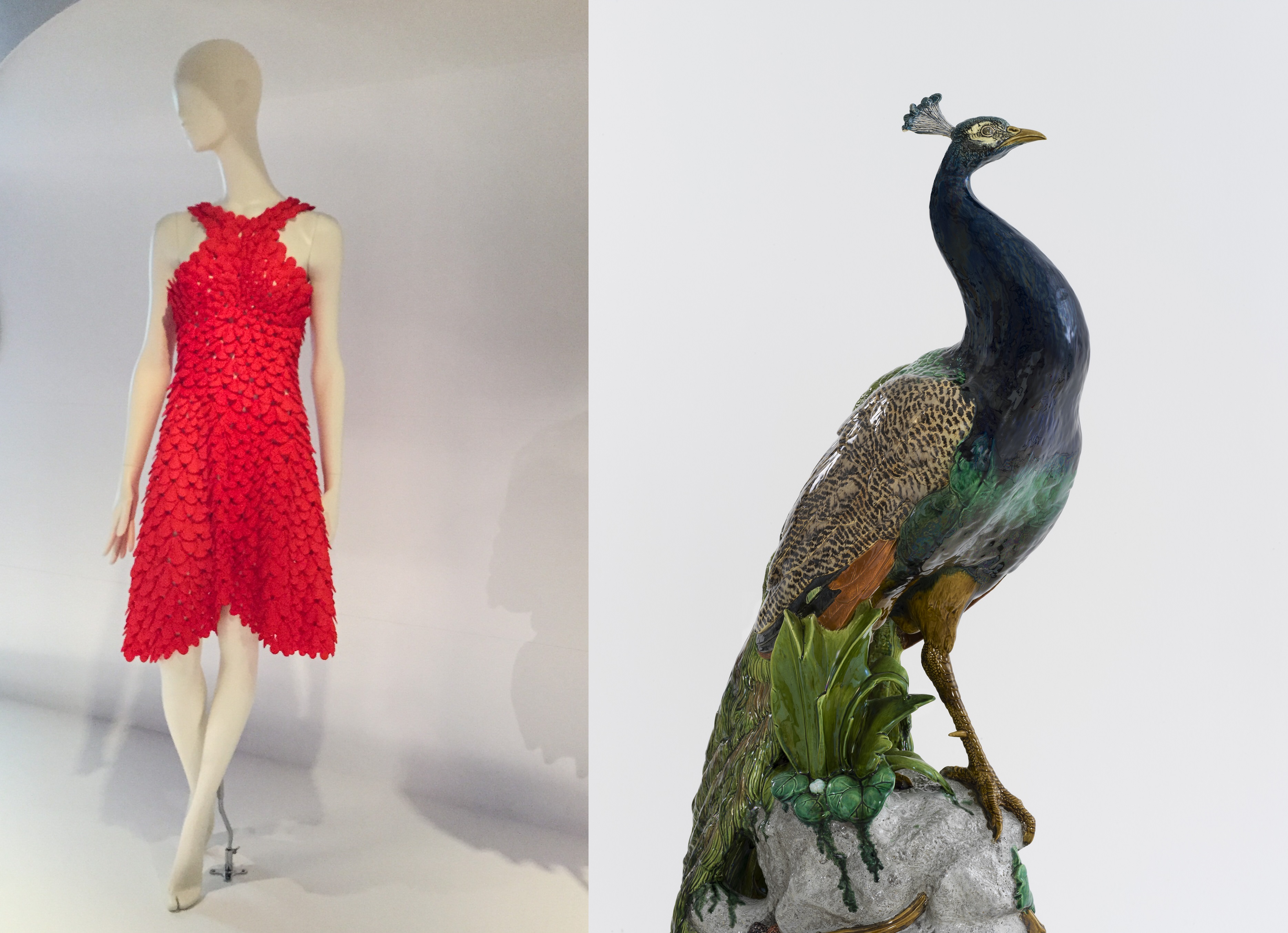 Two images side by side. Left: A red dress which appears to be made of red petals or scales, on a white mannequin. Right: Ceramic peacock sculpture featuring deep blue and green glazes.